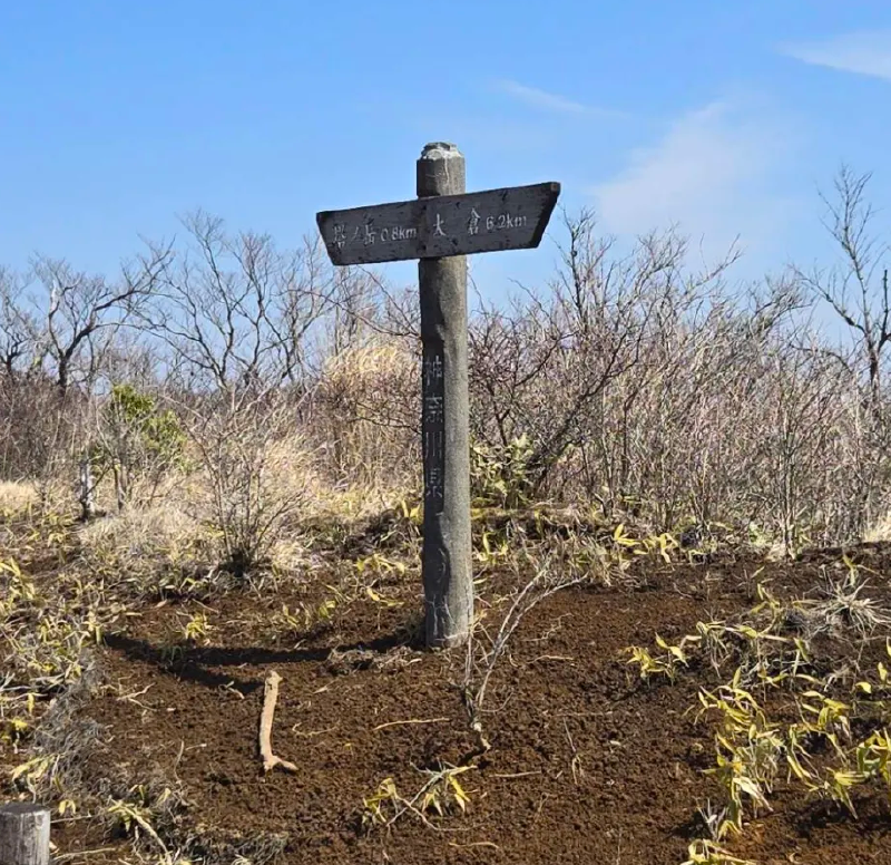 Featured image of post 塔ノ岳の登山記録